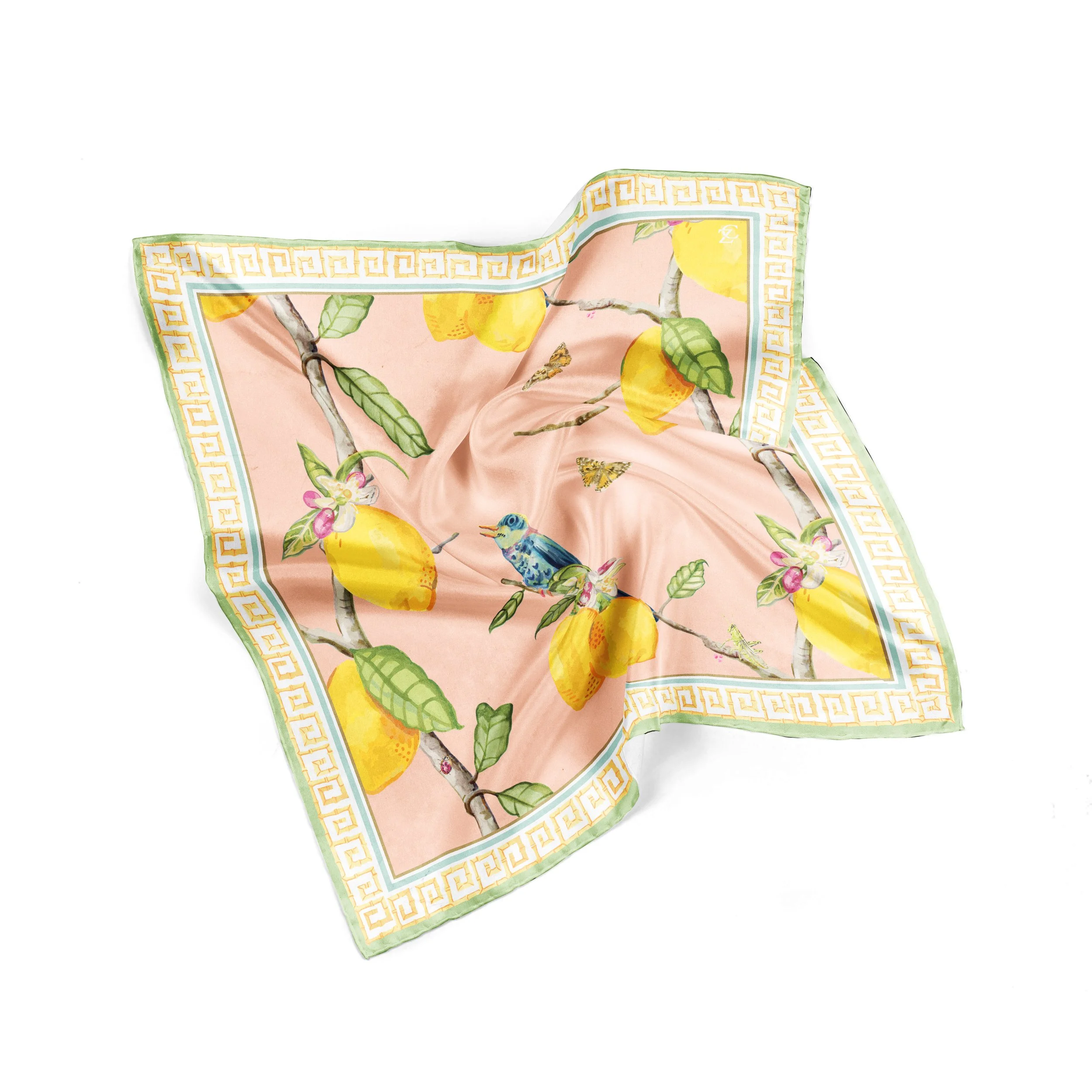 Lemon+Mockup+1.jpg?format=1500w
